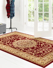 Load image into Gallery viewer, 9&#39; x 12&#39; Classic Abusson Area Rug